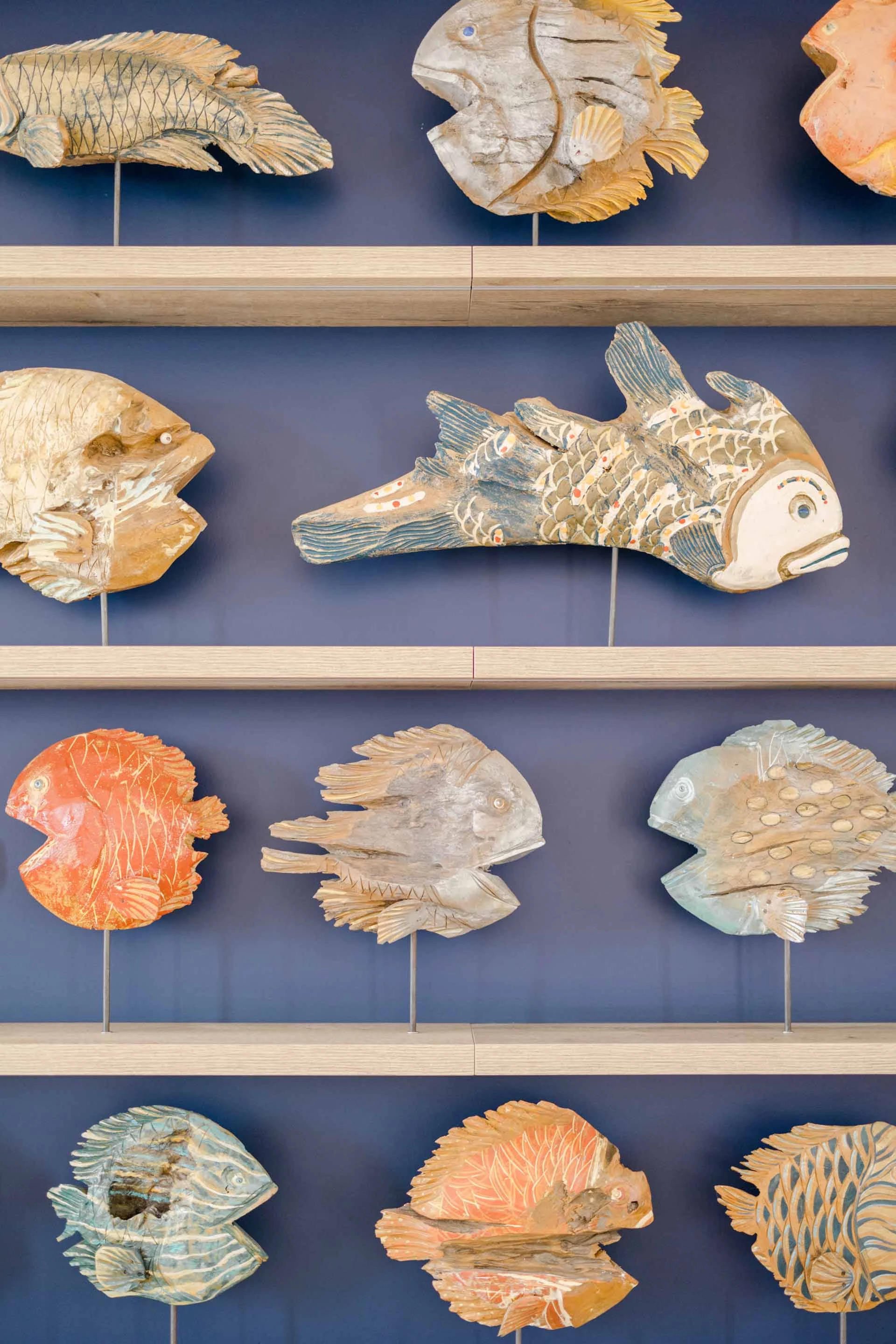 fossile coquillage rose gris bleu